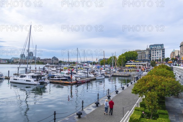 Senior couple strolling along a pedestrian walkway beside a marina, surrounded by yachts and sailboats on a sunny summer day in victoria, british columbia, enjoying the scenic waterfront