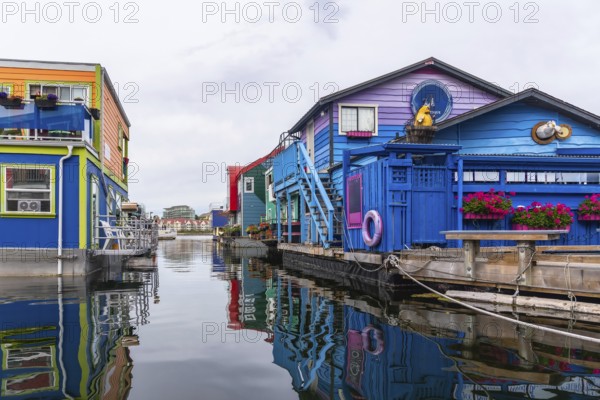Fisherman's wharf park's brightly colored floating homes create a vibrant reflection in the calm waters of victoria, british columbia, a popular tourist destination on vancouver island