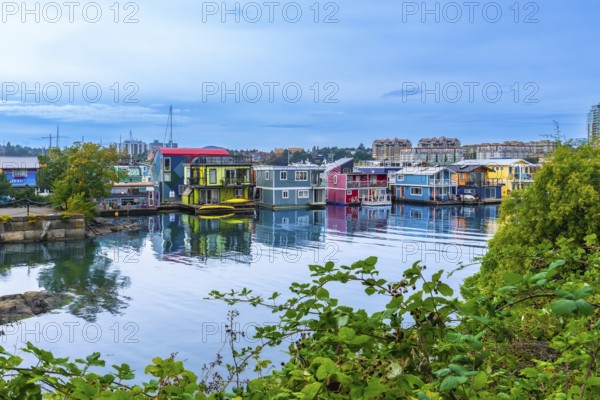 Colorful floating homes reflecting in the calm water at fisherman's wharf park in victoria, british columbia, offer a unique and vibrant waterfront scene on a sunny summer day