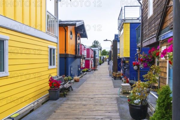 Wooden pathway leading through fisherman's wharf park, featuring vibrant floating homes, potted plants, and a tranquil atmosphere in victoria, british columbia