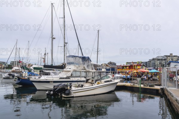 Sailboats and motorboats moored in calm victoria harbor, with colorful floating restaurants and shops creating a vibrant scene on vancouver island