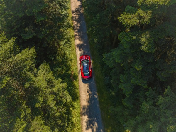 Red car driving on a narrow road through a dense forest in sunny weather, Porsche Taycan, Deer Carsharing, Calw, Germany
