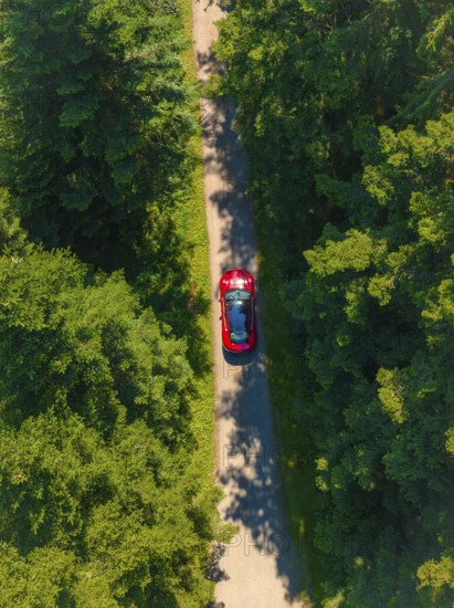 Red car on a narrow path surrounded by thick green forest in sunlight, Porsche Taycan, Deer Carsharing, Calw, Germany