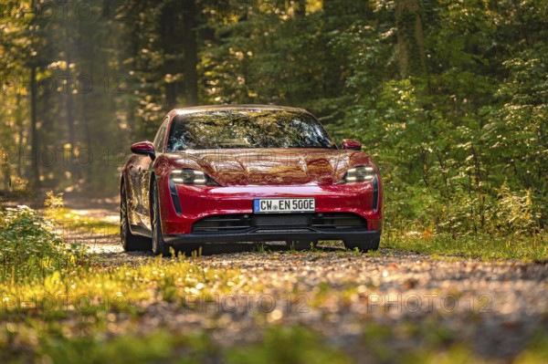 Red car on a forest path surrounded by trees in sunlight, Porsche Taycan, Deer Carsharing, Calw, Germany