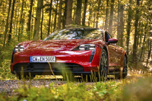 Red car in the forest, sun rays shining through the trees, sporty design, Porsche Taycan, deer car sharing, Calw, Germany