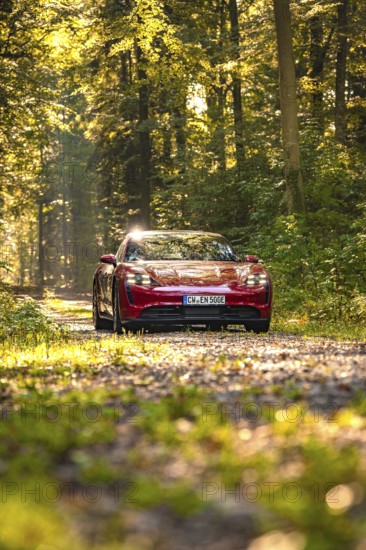 Red car on a forest path in sunlight, surrounded by autumnal nature, Porsche Taycan, Deer Carsharing, Calw, Germany