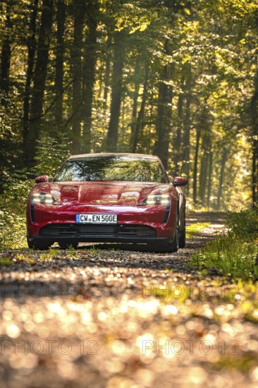 Red car driving on a forest path illuminated by sunlight, Porsche Taycan, Deer Carsharing, Calw, Germany