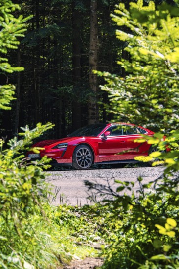 Red car in the forest surrounded by trees and shrubs, Porsche Taycan, deer car sharing. Calw, Germany