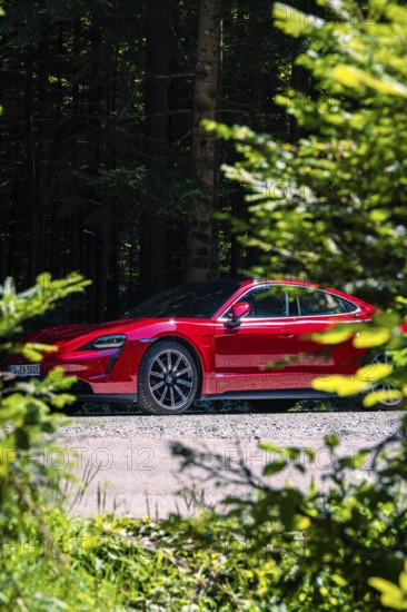 Red car surrounded by plants on a forest road, Porsche Taycan, deer car sharing. Calw, Germany