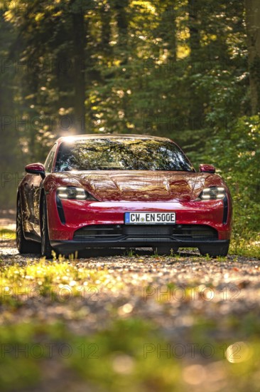 Red car in a forest with sunlight and green ambiance, Porsche Taycan, deer car sharing. Calw, Germany
