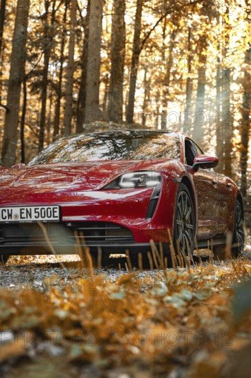 Red car in autumn forest with sunbeams on the license plate, Porsche Taycan, deer car sharing. Calw, Germany