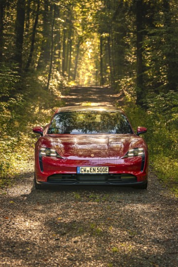 Red car on a secluded forest path surrounded by green trees and soft sunlight, Porsche Taycan, deer car sharing. Calw, Germany