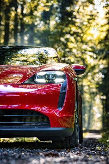 Red car in the summer forest with green leaves and modern design, Porsche Taycan, deer car sharing. Calw, Germany