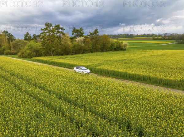 Car driving on a road through yellow fields under a cloudy sky, ID3 VW, deer car sharing. Calw, Germany