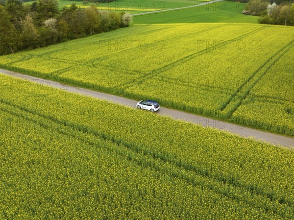 White car drives on a long road through extensive yellow fields in quiet surroundings, ID3 VW, deer car sharing. Calw, Germany