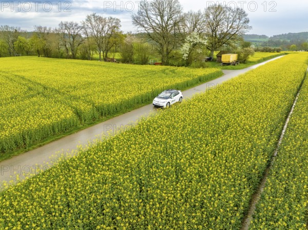 Aerial view of a car on a road through vast fields of yellow flowers, ID3 VW, deer car sharing. Calw, Germany
