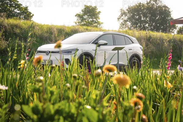 White car in front of flower field on a sunny day, nature and vehicle in harmony, VW ID4 electric car, Deer Carsharing, Calw, Germany