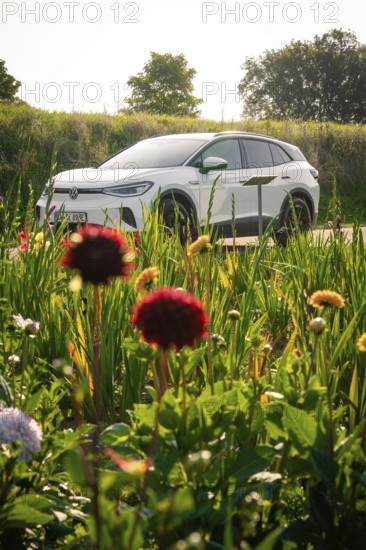 White car in the middle of a blooming meadow under clear sky, natural scene, VW ID4 electric car, deer car sharing, Calw, Germany