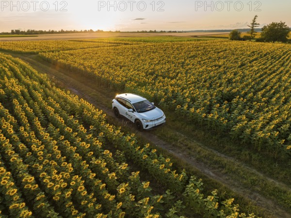 Car on a journey through endless, blooming sunflower fields in the golden hour, VW ID4 electric car, deer car sharing, Calw, Germany