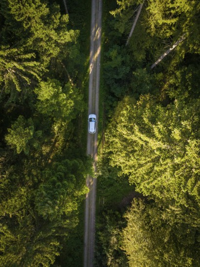 Drone shot of a car on a narrow forest path between trees, VW ID4 electric car, Deer Carsharing, Calw, Germany