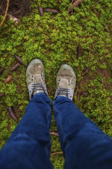 View from above of two feet in shoes standing on moss, Unterhaugstett, Calw district, Germany