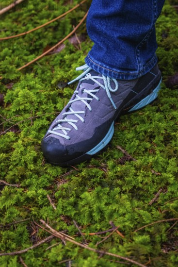 Hiking boots stand on a thick carpet of moss in the forest, Unterhaugstett, Calw district, Germany