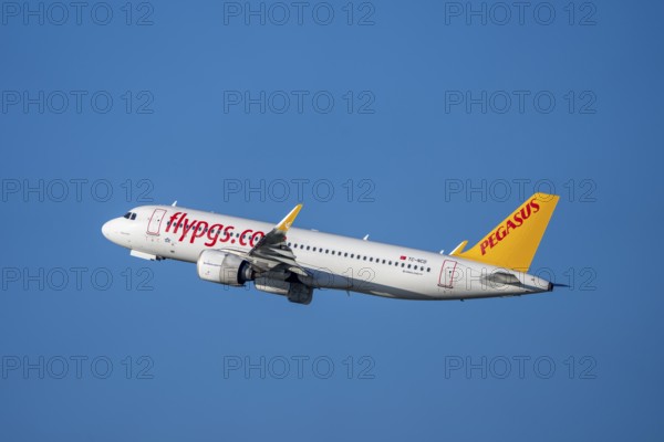 Pegasus Airline, Airbus A320neo, takes off, Düsseldorf Airport, North Rhine-Westphalia, Germany