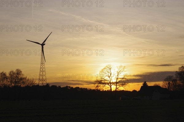 Landscape, wind generator, sunset, orange, atmospheric, winter, Germany, golden sunset in the countryside between wind turbine and trees