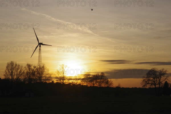Landscape, wind generator, sunset, orange, atmospheric, winter, Germany, colorful sunset between wind turbine and trees
