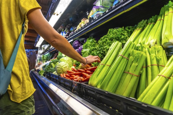 Customer selecting fresh celery stalks from a refrigerated display case filled with various colorful vegetables in a grocery store, emphasizing healthy food choices and the abundance of produce