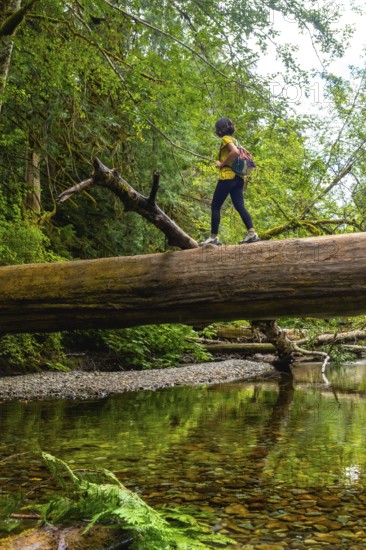 Female hiker carefully crossing a river by balancing on a fallen tree trunk in a lush green forest, enjoying the tranquility of nature during a summer adventure