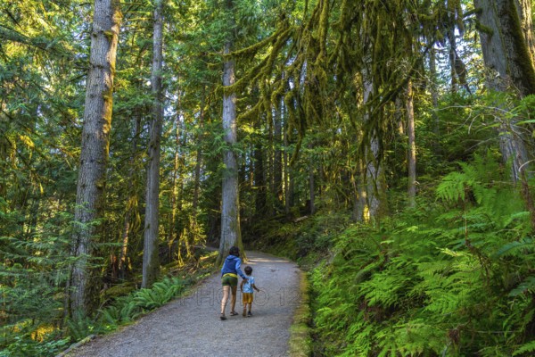 Mother and son enjoying a leisurely stroll along a tranquil gravel path, surrounded by the vibrant greenery of a dense forest in englishman river falls provincial park