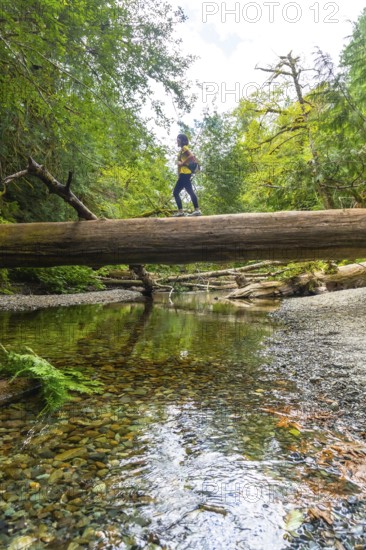 Female hiker walking across a fallen tree trunk bridge, surrounded by a lush forest and enjoying the serene atmosphere of a clear river during a peaceful summer day