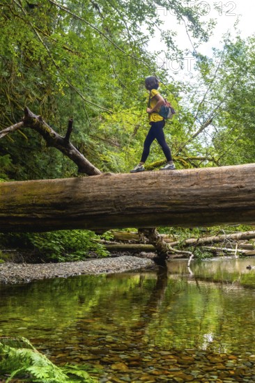 Female hiker carefully walks across a fallen tree trunk spanning a pristine river. Surrounded by the vibrant greenery of a lush forest. Demonstrating a spirit of adventure and connection with nature