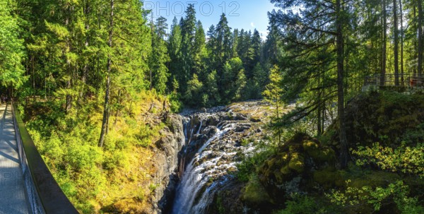 Englishman river falls cascades down a rocky gorge, surrounded by vibrant green forest and a viewing platform on a sunny summer day on vancouver island, british columbia, canada