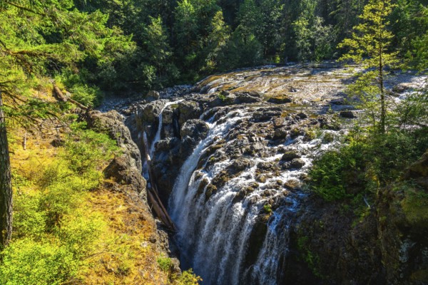Englishman river falls creates a stunning natural spectacle as water cascades down rocky cliffs amidst a vibrant green forest during a sunny summer day on vancouver island, british columbia, canada