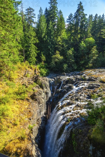 Englishman river falls cascading down a narrow gorge on vancouver island, british columbia, canada, surrounded by lush green forest on a sunny summer day, creating a breathtaking natural landscape