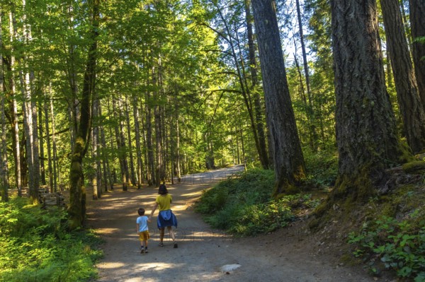 Mother and son enjoying a peaceful stroll along a serene forest path, surrounded by vibrant greenery at englishman river falls provincial park