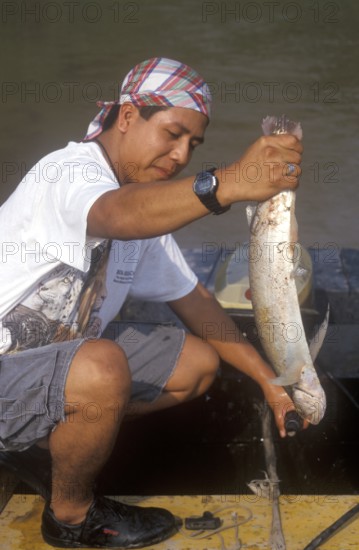 Man keeps a predatory fish caught in the Amazon, near Iquitos, Peru, South America, September 1997, vintage, retro, old, historic