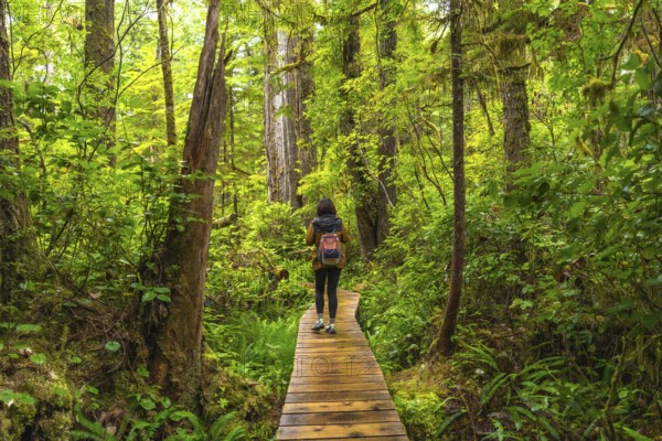 Female tourist with a backpack walking along a wooden path, immersing in the lush greenery of a rainforest trail in ucluelet, british columbia, canada
