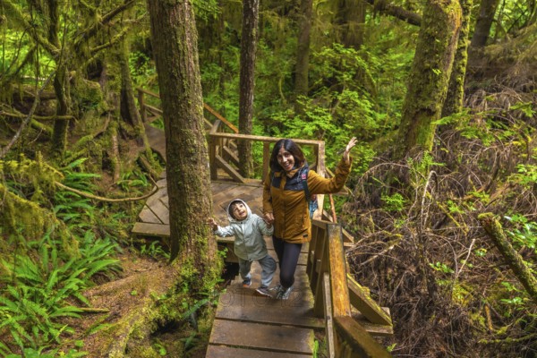 Tourists enjoying walking on wooden pathway through lush green rainforest in ucluelet on vancouver island, british columbia, canada, exploring nature and having fun