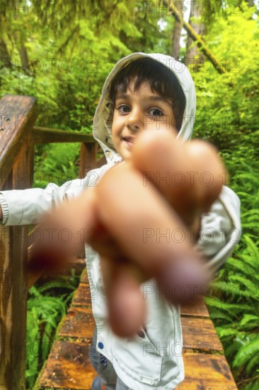 Young child pointing forward while exploring a lush rainforest trail on a wooden walkway, experiencing the beauty of nature in ucluelet, vancouver island, canada