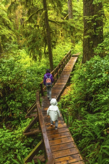 Mother and child enjoying a walk on a wooden boardwalk trail through lush rainforest in ucluelet on vancouver island, canada, showcasing ecotourism and family adventure