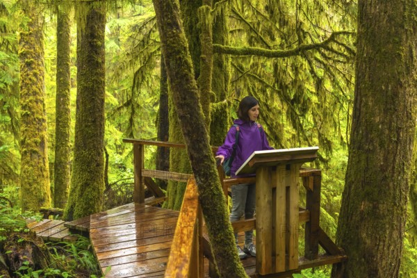 Tourist guide explaining details about rainforest ecosystem on a wooden platform in the rainforest trail of ucluelet, town on vancouver island, british columbia, canada, during a wet day