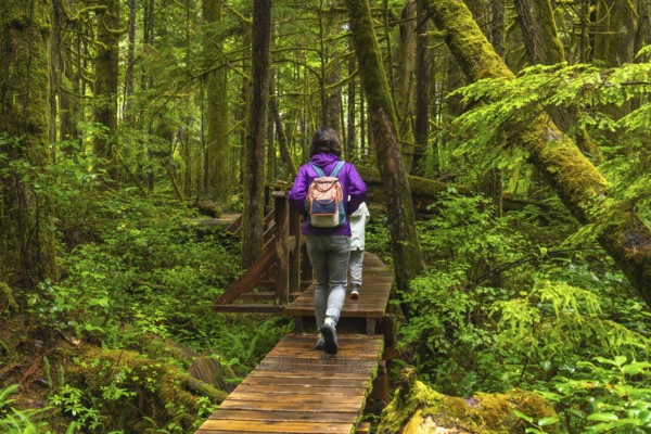 Two tourists with backpacks hiking along a wooden boardwalk trail in a lush ucluelet rainforest, surrounded by vibrant moss covered trees and ferns