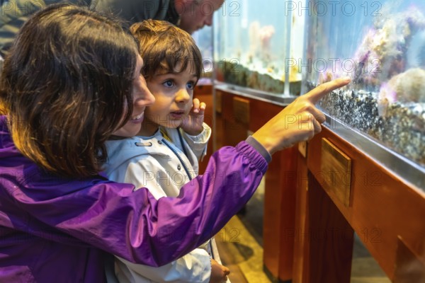 Mother pointing at fish tank, sharing educational moment with her son at the aquarium, fostering curiosity and appreciation for marine life
