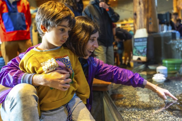 Mother holding her son while pointing at fascinating aquatic animals in a touch tank, fostering a memorable learning experience filled with exploration and discovery