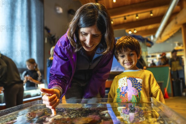 Mother pointing at sea creatures in touch tank, sharing educational moment with her son at the aquarium, fostering love for marine life and underwater world