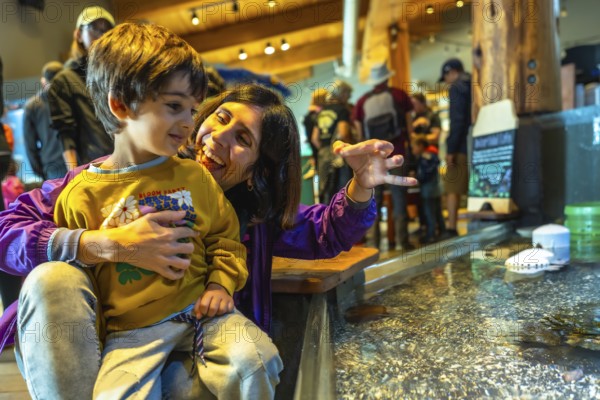 Mother and her son are enjoying a day at the aquarium, observing marine life in a touch tank, creating a heartwarming moment of connection and discovery