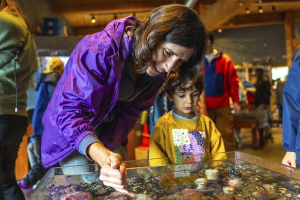 Mother pointing at marine life in a touch tank, sharing an educational moment with her son at an aquarium, fostering curiosity and appreciation for the underwater world